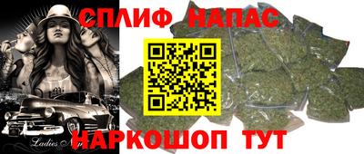 МДПВ Краснодар
