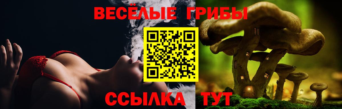 Псилоцибиновые грибы GOLDEN TEACHER Туймазы